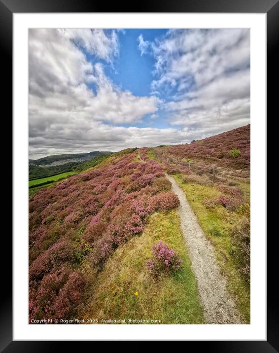 A path through the Heather Framed Mounted Print by Roger Fleet