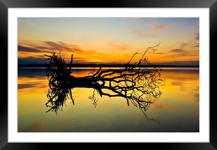 Loch Leven Tree Reflection Framed Mounted Print by Adrian Maricic