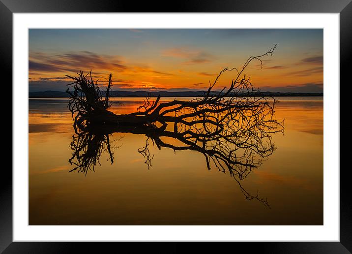 Loch Leven Tree Tinted Framed Mounted Print by Adrian Maricic