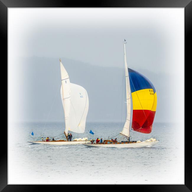 Racing Yachts Falcon and Sonata At The Fife Regatt Framed Print by Tylie Duff Photo Art