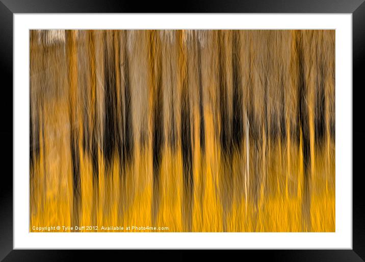Forest Fire Framed Mounted Print by Tylie Duff Photo Art