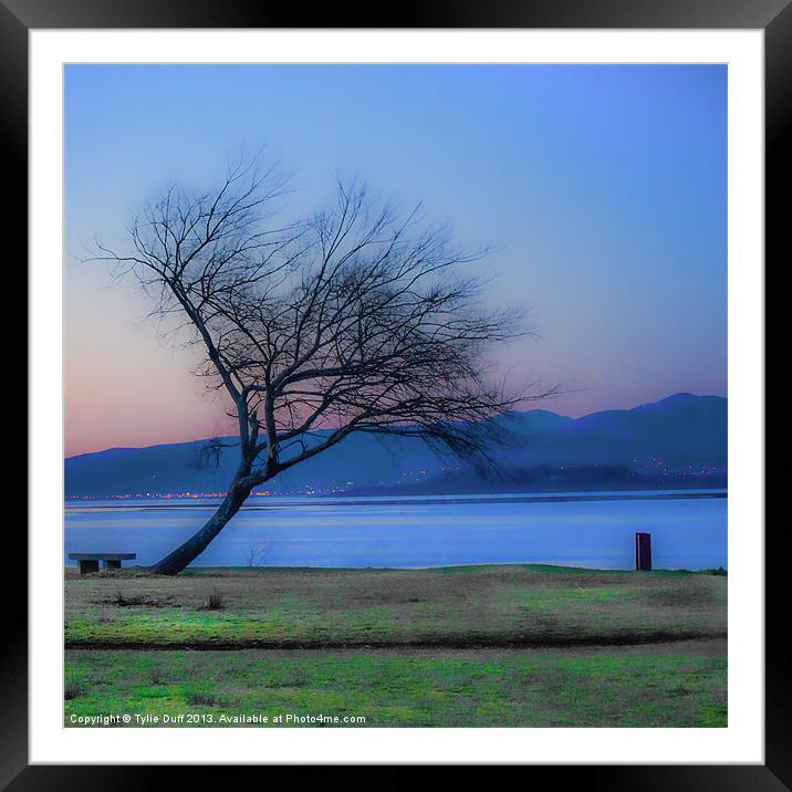 Tree on the Banks of the River Clyde Framed Mounted Print by Tylie Duff Photo Art