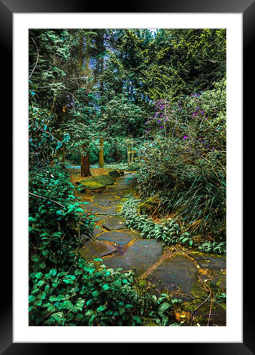 Woodland Walk in Rosshall Park , Glasgow Framed Mounted Print by Tylie Duff Photo Art