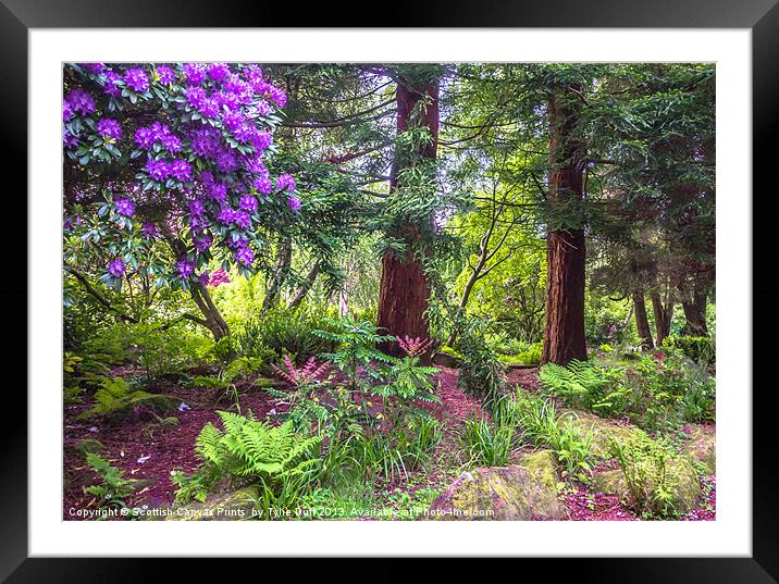 Rosshall Park, Glasgow Framed Mounted Print by Tylie Duff Photo Art