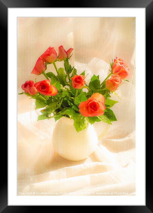 Red Roses Framed Mounted Print by Tylie Duff Photo Art