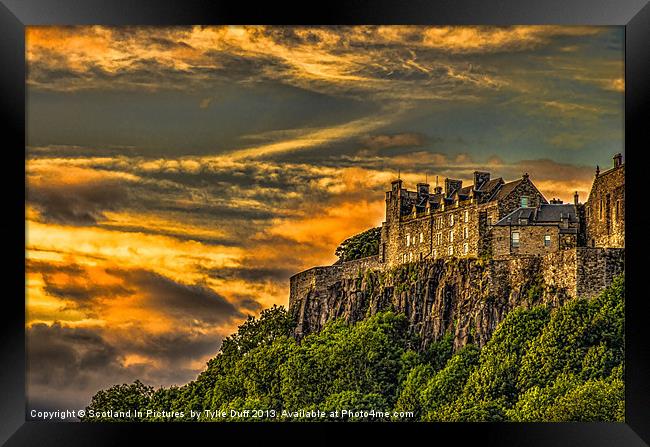 Stirling Castle Scotland Framed Print by Tylie Duff Photo Art