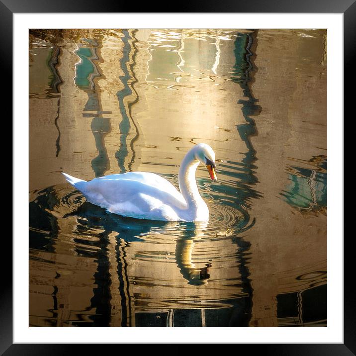 Reflections Framed Mounted Print by Tylie Duff Photo Art