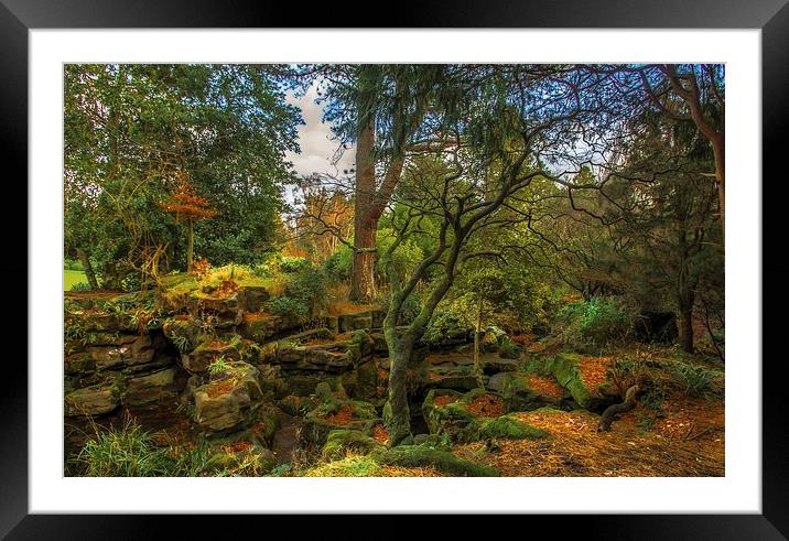 Winter Colours at Rosshall Park Glasgow Framed Mounted Print by Tylie Duff Photo Art