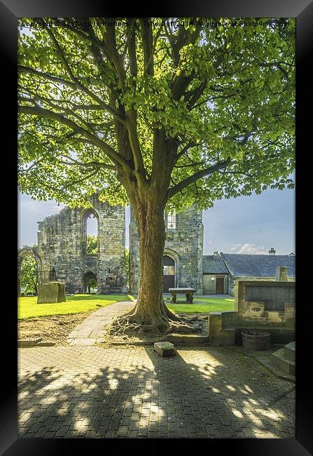 Springtime at Kilwinning Abbey Ayrshire Framed Print by Tylie Duff Photo Art