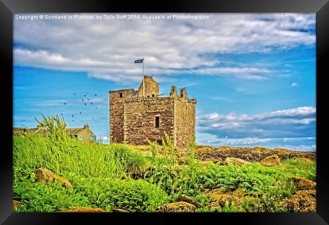 Portencross Castle Ayrshire at Midsummer Framed Print by Tylie Duff Photo Art
