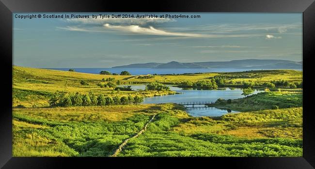  Holy Isle Arran from Fairlie Moor Framed Print by Tylie Duff Photo Art