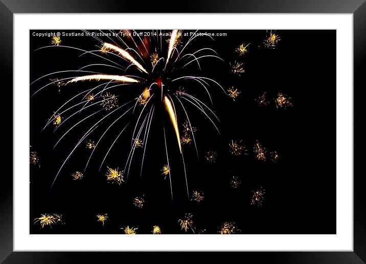  Fireworks Display Framed Mounted Print by Tylie Duff Photo Art