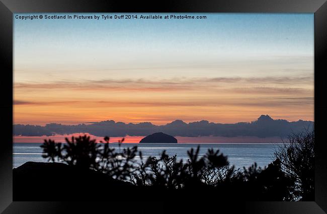Looking Across to Ailsa Craig  Framed Print by Tylie Duff Photo Art