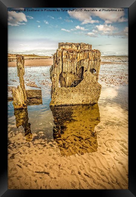  Groynes on Seamill Beach Framed Print by Tylie Duff Photo Art