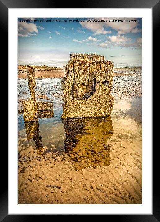  Groynes on Seamill Beach Framed Mounted Print by Tylie Duff Photo Art