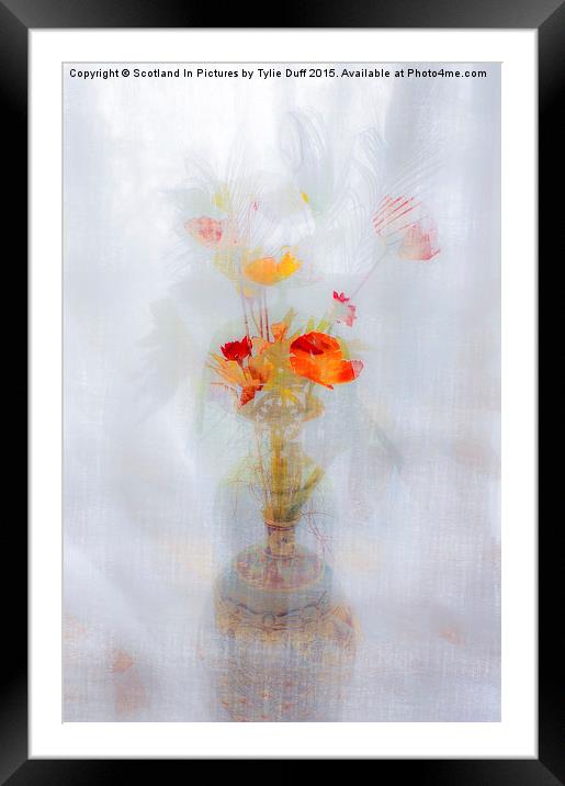 Poppy Haze Dream Framed Mounted Print by Tylie Duff Photo Art