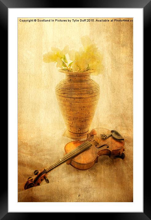   A Little Light Music Framed Mounted Print by Tylie Duff Photo Art