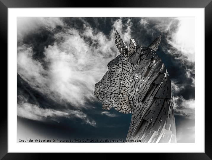 Sky Gazer Framed Mounted Print by Tylie Duff Photo Art