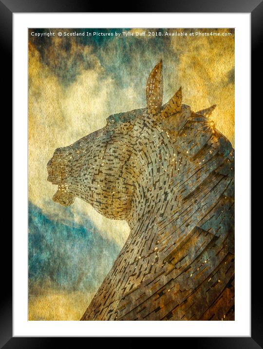 Sky Gazer 3 Framed Mounted Print by Tylie Duff Photo Art