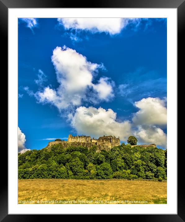 Stirling Castle In High Summer Framed Mounted Print by Tylie Duff Photo Art