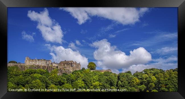 Stirling Castle Panorama Framed Print by Tylie Duff Photo Art