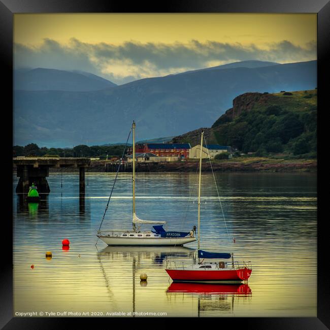 Moonlight On The Clyde At Fairlie Framed Print by Tylie Duff Photo Art