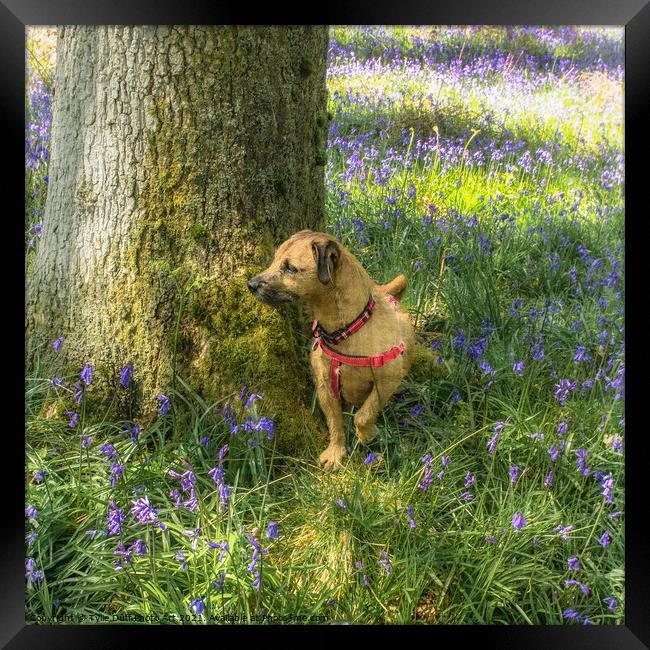 Dog Amongst The Bluebells  Framed Print by Tylie Duff Photo Art