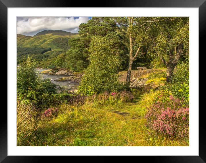 Loch Lomond In The Spring Framed Mounted Print by Tylie Duff Photo Art