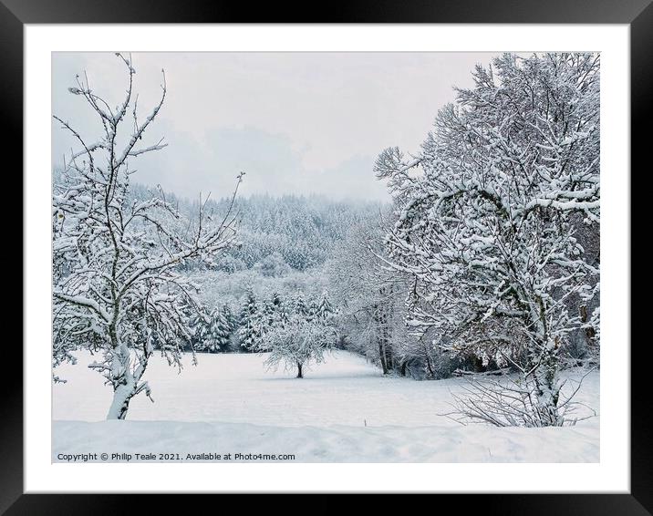 Winter Forest Framed Mounted Print by Philip Teale