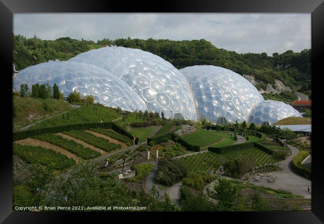 Eden Project Framed Print by Brian Pierce