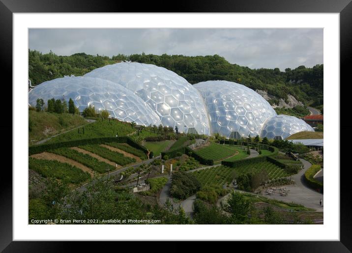 Eden Project Framed Mounted Print by Brian Pierce
