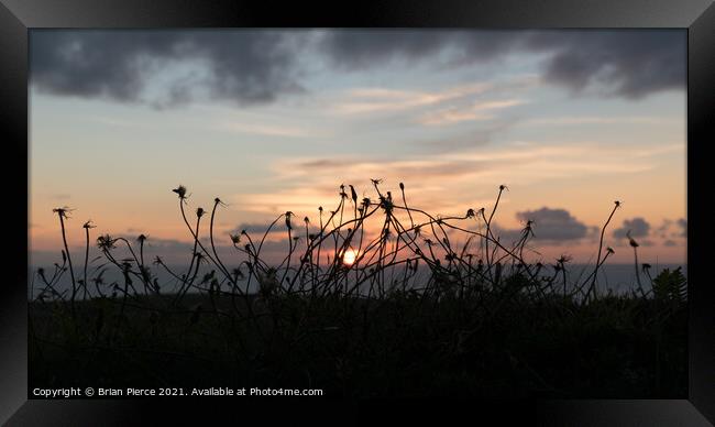 Sunset in the Meadow Framed Print by Brian Pierce