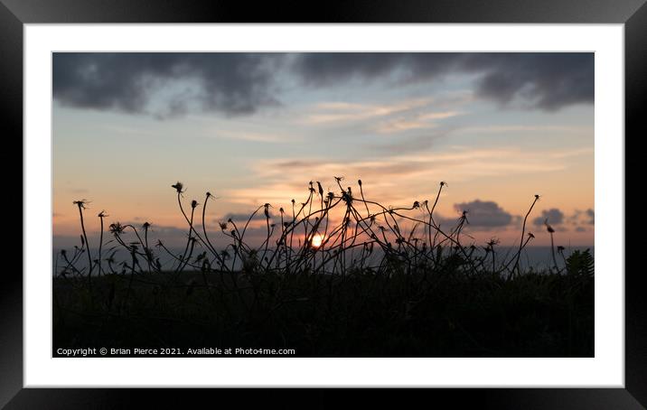 Sunset in the Meadow Framed Mounted Print by Brian Pierce