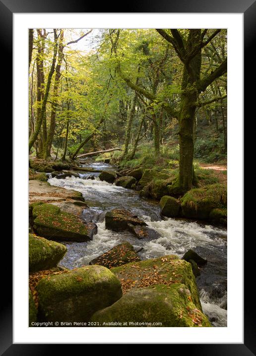 River Fowey at Golitha Falls  Framed Mounted Print by Brian Pierce