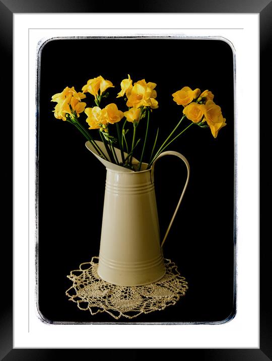 Daffodils in a water jug Framed Mounted Print by Brian Pierce