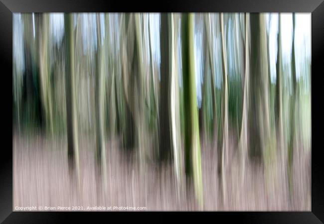 Trees (Intentional Camera Movement) Framed Print by Brian Pierce