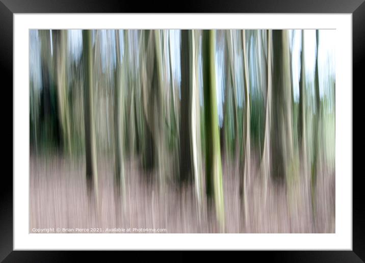 Trees (Intentional Camera Movement) Framed Mounted Print by Brian Pierce
