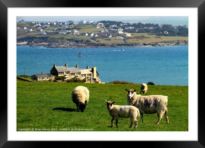 Looking out over Hawker's Cove, Padstow Framed Mounted Print by Brian Pierce