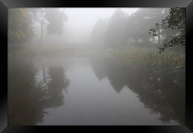 Morning Mist Over Pond Framed Print by Darren Watkinson