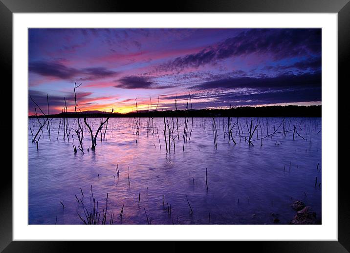 Purple waters Framed Mounted Print by Guido Montañes