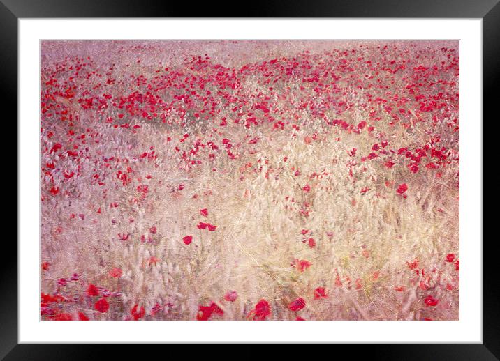 fields of poppies Framed Mounted Print by Guido Montañes