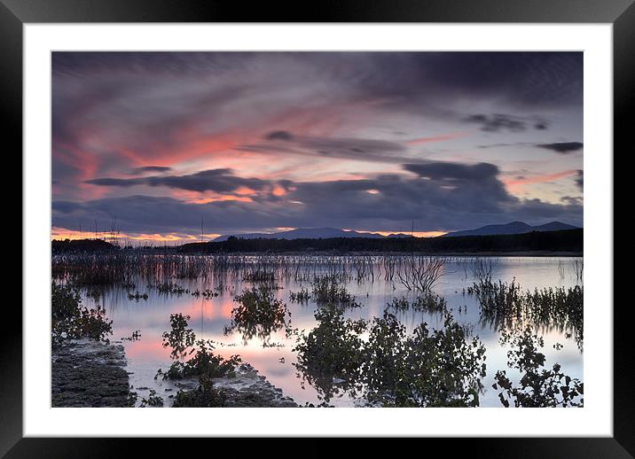Last light at the lake Framed Mounted Print by Guido Montañes