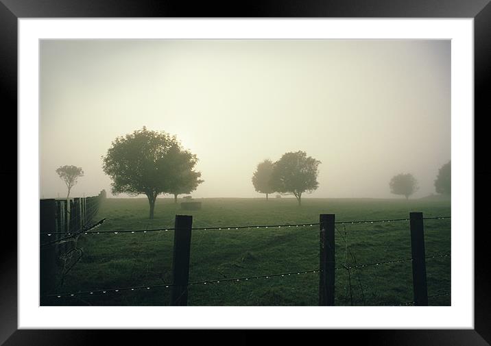 Misty Morning Framed Mounted Print by Bruce Stanfield