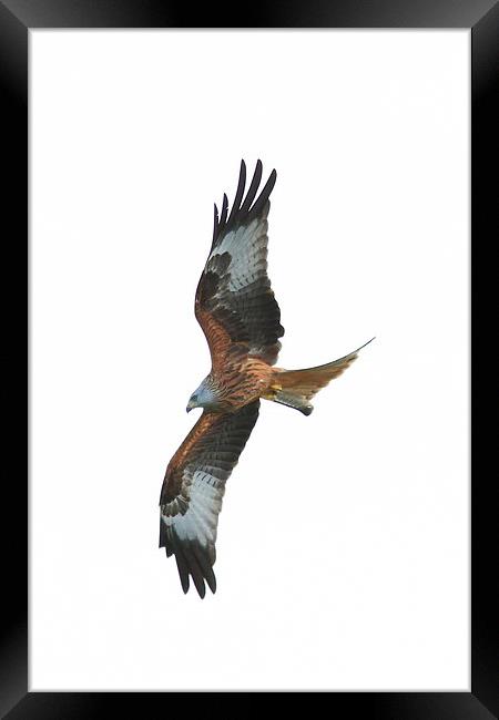  Kite in Flight Framed Print by Aaron Casey
