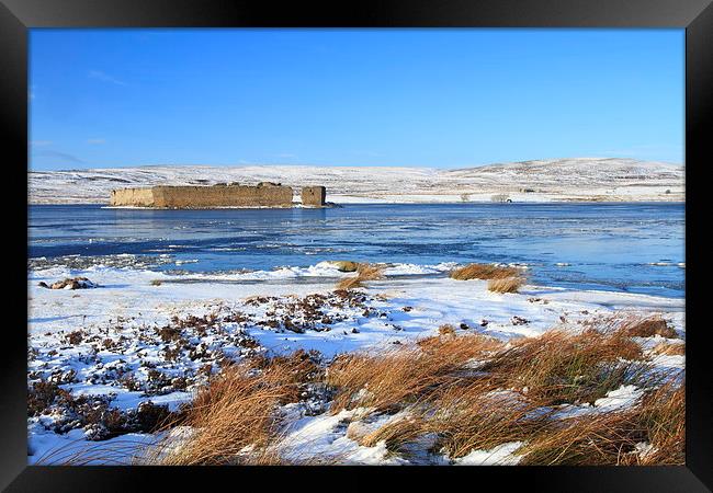 Wintery Wolfs Ruins Framed Print by Aaron Casey