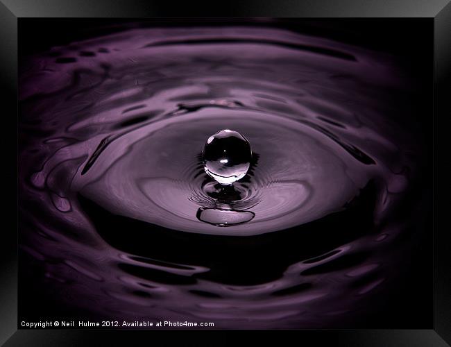 Purple Rain. Framed Print by Neil  Hulme