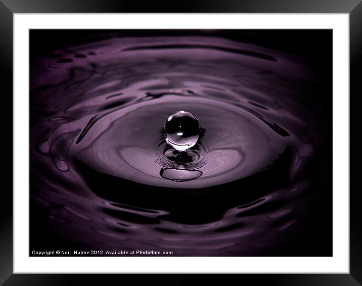 Purple Rain. Framed Mounted Print by Neil  Hulme