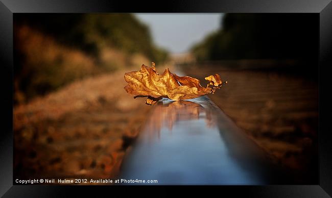 DELAY'S (due to a leaf on the line) Framed Print by Neil  Hulme