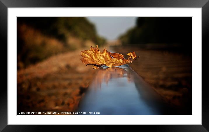 DELAY'S (due to a leaf on the line) Framed Mounted Print by Neil  Hulme