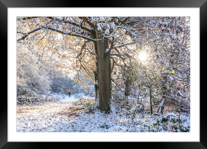 Winter in the Chilterns Framed Mounted Print by Graham Custance